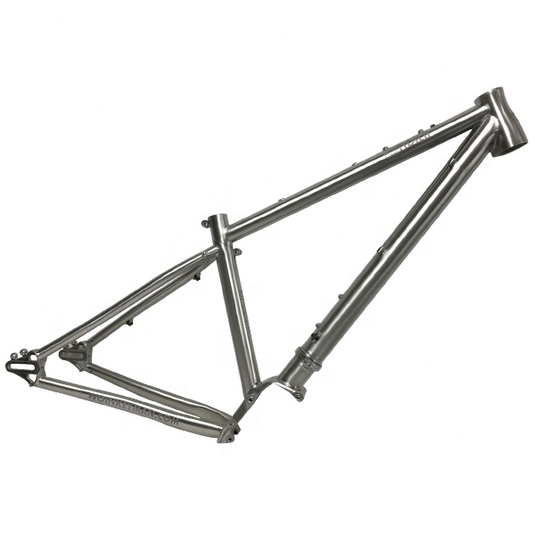 Frame Pinion Gearbox Touring Bike Titanium Bike Frame With