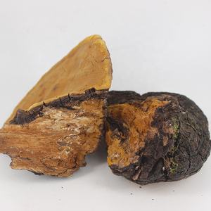 คุณภาพดี Phellinus Linteus <span class=keywords><strong>Sang</strong></span> <span class=keywords><strong>Hwang</strong></span> สารสกัดจากเห็ด/Phellinus Linteus - Product Image 3