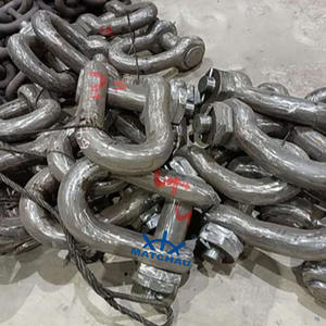 Manille de raccordement LTM homologuée pour les conditions de travail difficiles, accessoire spécial - Product Image 5