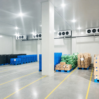 Ruang Pendingin Freezer dengan Unit Refrigerasi Kompresor untuk Penyimpanan Daging dan Buah
