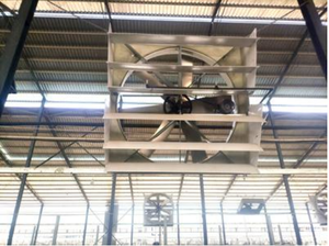 Ventilateurs de grange à lait suspendus pour vache Cyclone à lame en alliage d'aluminium de 72 pouces - Product Image 5