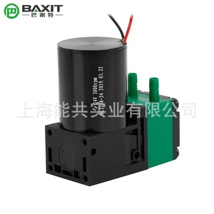 Baxit Diaphragm <b>Pump</b> L08BL 24V DC Motor 3000rpm Low Pressure Water Handling Corrosive Liquid <b>Pump</b> - Product Image 1