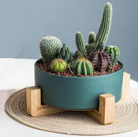 Nordique en céramique Pot de fleur bol anti-dérapant support en bois Multi couleurs céramique cadre en bois maison jardin minimaliste en gros