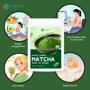 Thé vert matcha Herbspirit halal casher USDA, première récolte, qualité culinaire, poudre de matcha 50G - Product Image 2