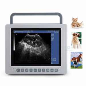 Máquina de escáner de ultrasonido portátil B21Vet a la venta instrumentos de ultrasonido médico para cerdo vaca y oveja - Product Image 2