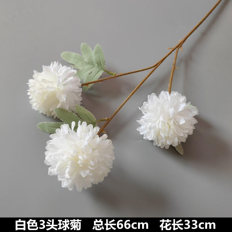 ดอกเบญจมาศ3หัว