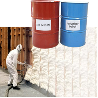 Mousse de polyuréthane liquide expansée élastique en PU 2025 pour pulvérisation