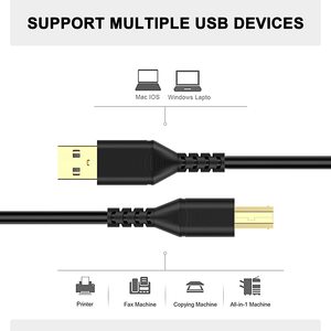 Câble d'imprimante USB 2.0 plaqué or LUNG KAY 10 pieds (3 m) livraison rapide, câble <span class=keywords><strong>de</strong></span> données haute vitesse pour <span class=keywords><strong>scanner</strong></span> et lecteur <span class=keywords><strong>de</strong></span> codes-barres - Product Image 2