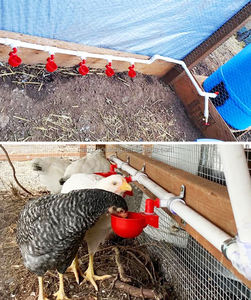 ZZ Patio trasero automático <span class=keywords><strong>Bebedero</strong></span> <span class=keywords><strong>casero</strong></span> para aves <span class=keywords><strong>de</strong></span> corral Broiler Baby Chick Juego completo Línea <span class=keywords><strong>de</strong></span> tubería Colgante DIY <span class=keywords><strong>bebedero</strong></span> <span class=keywords><strong>de</strong></span> pollo para cubo - Product Image 5