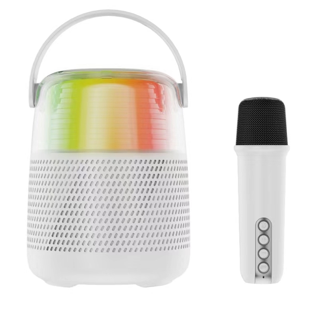 Portable Mini Wireless Speaker with LED Display TF & AUX for Home Karaoke Handheld Conference Microphone