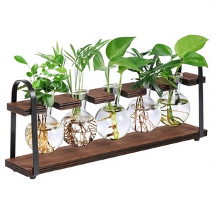 Varilla de Soporte para Orquídeas Phalaenopsis, Soporte de Madera para Enderezar Plantas Trepadoras, Materiales de Construcción para Paisajismo del Hogar - Product Image 4