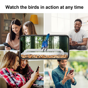 Caméra de mangeoire à <span class=keywords><strong>oiseaux</strong></span> intelligente 2026 : Capture automatique de vidéos et notification via l'application, avec identification IA des <span class=keywords><strong>oiseaux</strong></span> - Product Image 6