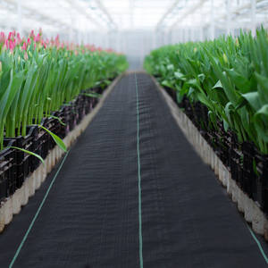 غطاء أرضي من قماش البولي بروبيلين لمكافحة الأعشاب الضارة، حصيرة حاجزة للأعشاب للمناظر الطبيعية، غطاء منسوج للزراعة يسمح بمرور المياه، غطاء لحمام السباحة والمنتجع الصحي - Product Image 6