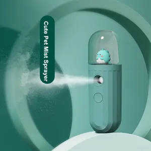 Nano sis püskürtücü Nano yüz Mister taşınabilir Mini yüz Mist Handy püskürtücü atomizasyon kirpik uzantıları serin yüz buhar makinesi