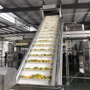 Linha De Processamento Automática De Suco De Manga Máquina De Suco De Polpa De Manga Fábrica De Produção De Suco De Frutas