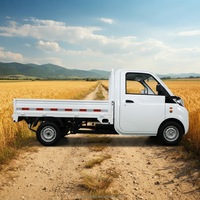 Yuantong T10 L7e, pick-up électrique léger homologué, zéro émission, benne de chargement spacieuse, véhicule logistique européen pour le dernier kilomètre