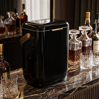 Glacière de luxe compacte 10L pour boissons, idéale pour le camping, le plein air, le vin, en plastique, métal ou acier