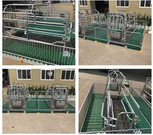 Nhà Máy Giá lợn <span class=keywords><strong>farrowing</strong></span> Thùng gieo <span class=keywords><strong>farrowing</strong></span> giường lợn mang thai Thùng heo con vườn ươm Thùng - Product Image 4