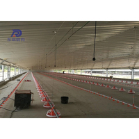Petit bâtiment de structure métallique de poulailler de ferme de poulailler pour 5000 poulets