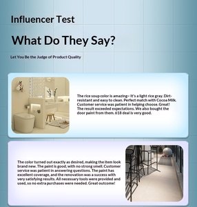 Eco-Friendly Velvet <strong>Spray</strong> <strong>Paint</strong> Formaldehyde Interior Wall Texture <strong>Paint</strong> Mainly Acrylic Liquid Coating Brush - Product Image 2