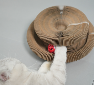 <span class=keywords><strong>Gatto</strong></span> artiglio stampa organo magnetico gratta e vinci Multi-funzionale strumento <span class=keywords><strong>di</strong></span> macinazione artiglio <span class=keywords><strong>gatto</strong></span> - Product Image 5