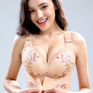 Sujetadores Acolchados con Realce para Mujer de Encaje Ajustable Copa Grande Sin Aros Tallas C D E Lencería Tipo Corsé - Product Image 3