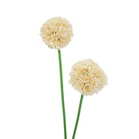 Tige d'allium artificielle de 58 cm, boule d'allium artificielle pour la décoration intérieure, mariage