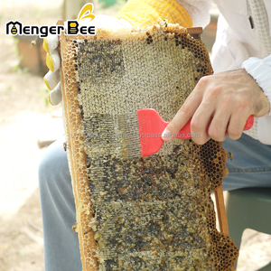 Nuevo Kit de Cosecha de Miel Menger: Incluye Pinza para Cuadros, Horquilla Desoperculadora, Herramienta para Colmenas y Cepillo para Abejas - 2 Años de Garantía - Product Image 4