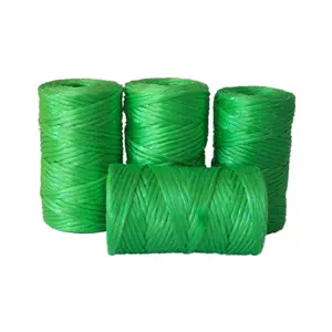 Dây Bện Cà Chua Sợi Polypropylene Làm Vườn Trong Hộp Phân Phối Dây Cà Chua 6300 Ft