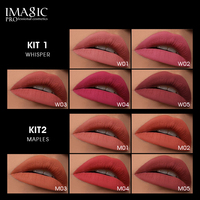 Kit de gloss à lèvres IMAGIC, hautement pigmenté, vibrant, anti-bavures, résistant au transfert, léger, confortable