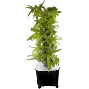 Système de jardinage aéroponique en tour à 8 niveaux et 40 trous - Équipement de culture hydroponique pour fleurs/fruits/légumes - Product Image 4