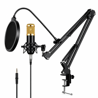 Kit de microphone à condensateur professionnel BM800 avec bras articulé et filtre anti-pop pour enregistrement en studio, podcast, diffusion en direct, karaoké