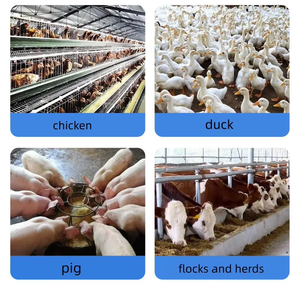 Nhà sản xuất bia men Saccharomyces cerevisiae protein bia Xa men tóc vàng - Product Image 6