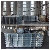 Sistema de Andamios Galvanizados Layher Ringlock, Acero Q235 HDG, Andamios Ringlock, Torre de Apuntalamiento Ringlock