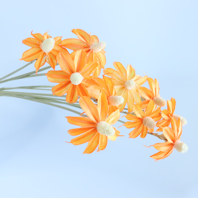 Naranja