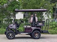 Voiturette de golf électrique personnalisable, directement de l'usine, pour usage multi-scènes (ferme, complexe hôtelier, parc d'attractions)