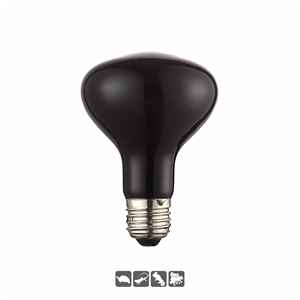 Lampe chauffante thermostatée longue durée pour reptiles, effet lumière de lune, pour déserts et forêts tropicales - Product Image 2