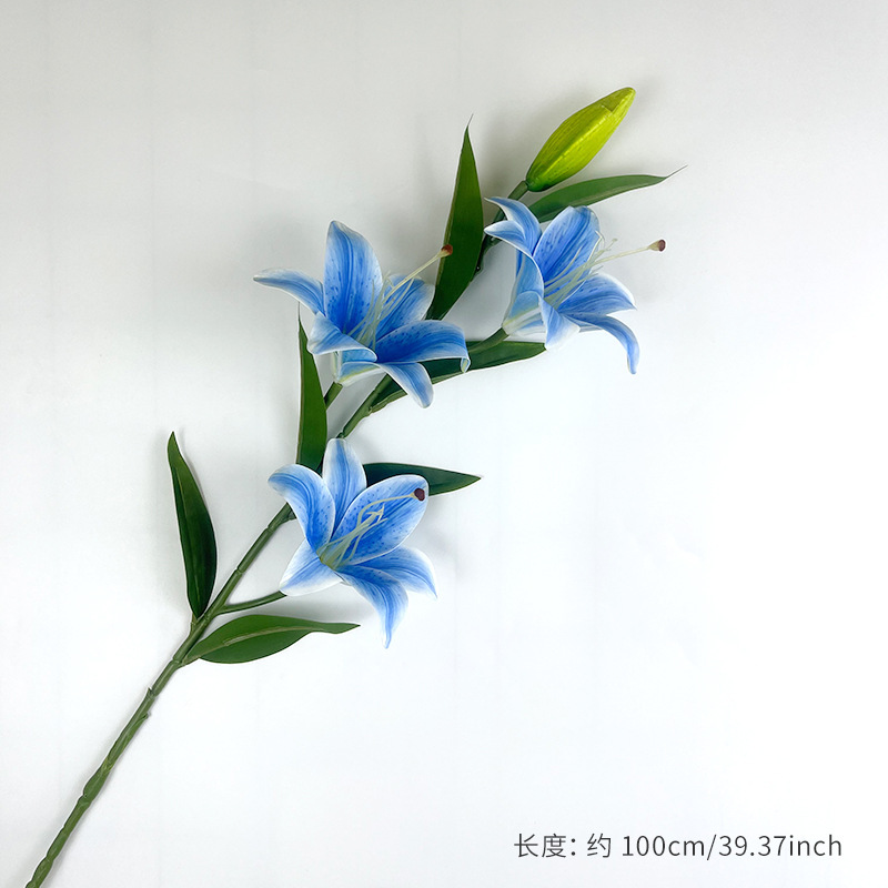 Peacock Blue