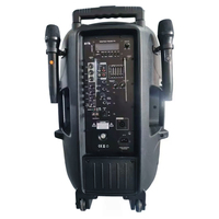 Système de sonorisation PA professionnel rechargeable en plastique 250W 2 voies, enceintes de fête puissantes 15 pouces, audio BT TWS avec ensemble de microphones UHF