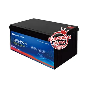 Sunway OEM Grade A Lipofe4 Cells 24v battery pack lithium 25.6V 100ah Lifepo4 Battery