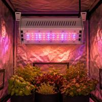 Lampes LED de culture industrielles ultra-minces 50W SMD 2835 à spectre personnalisable LM281B pour micro-légumes, à installer sous les auvents