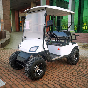 Barato Mini 2 pasajeros usado alto rendimiento señal Seater Custom Road Legal vehículo eléctrico Club coche carros de Golf - Product Image 5