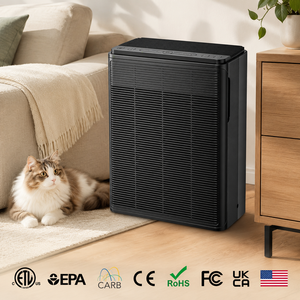 Purificador de <span class=keywords><strong>Aire</strong></span> HEPA USB Personalizado para Escritorio, con Iones Negativos, Microecológico, Purificación de PM2.5 para Oficina en Casa, Portátil - Product Image 1