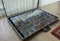 Supports de présentation pour cartes, conçus pour les vitrines, compatibles avec les supports de présentation Zion pour cartes de sport et TCG