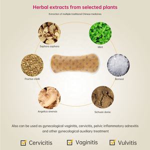 Argento Agli Ioni di Cura di Cura per la Donna Zimeishu Pad Ginecologica - Product Image 3