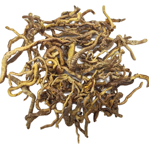 पालतू भोजन के लिए सूखे मिट्टी के कीड़े को फ्रीज करें - Product Image 1