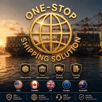 Agent d'expédition express aérien et maritime FBA, dédouanement porte-à-porte, transitaire Chine vers États-Unis, Canada, Royaume-Uni, Australie, Europe
