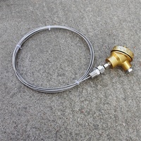 WRNK-131 termopar Industrial de alta temperatura, Sensor de termopar con aislamiento Mineral