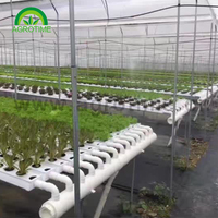Grand système de jardin hydroponique durable de vente chaude NFT plantant le canal de PVC pour la matière plastique de laitue pour l'usage d'agriculture