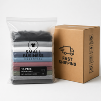 Lot de 10 T-shirts en coton épais 250 g/m² - Expédition rapide - Essentiels pour les petites entreprises